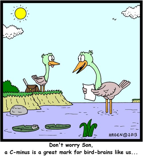 'Don't worry Son, a C-minus is a great mark for bird-brains like us...'
