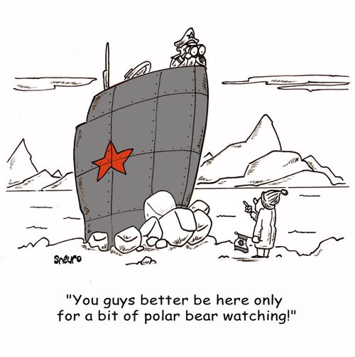 'You guys better be here only for a bit of polar bear watching!'