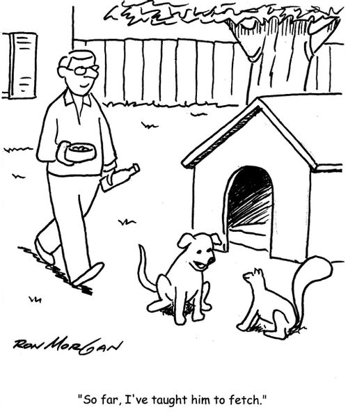 'So far, I've taught him to fetch.'