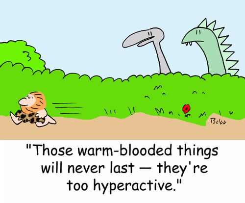 'Those warm-blooded things will never last -- they're too hyperactive.'