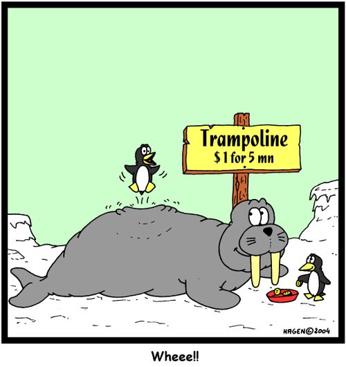 'Wheee!!' (Penguin using Walrus as a trampoline)