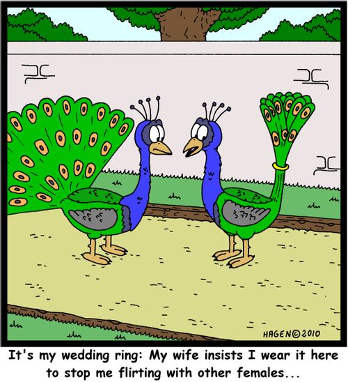 'It's my wedding ring: My wife insists I wear it here to stop me flirting with other females...'