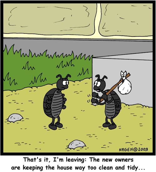 'That's it, I'm leaving: The new owners are keeping the house way too clean and tidy...'