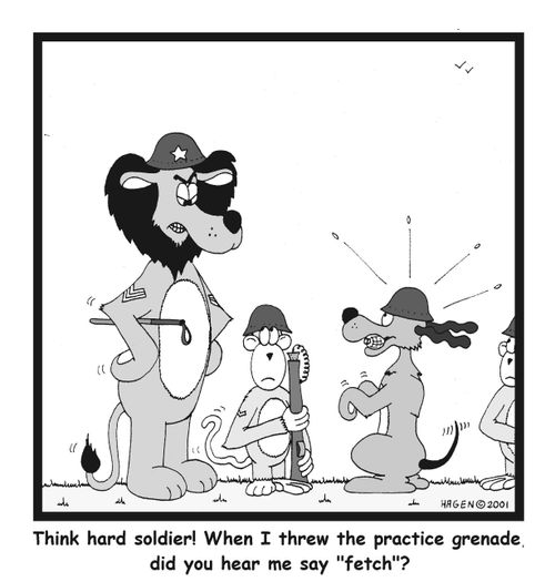 Think hard soldier! When I threw the practice grenade, did you hear me say 'fetch'?