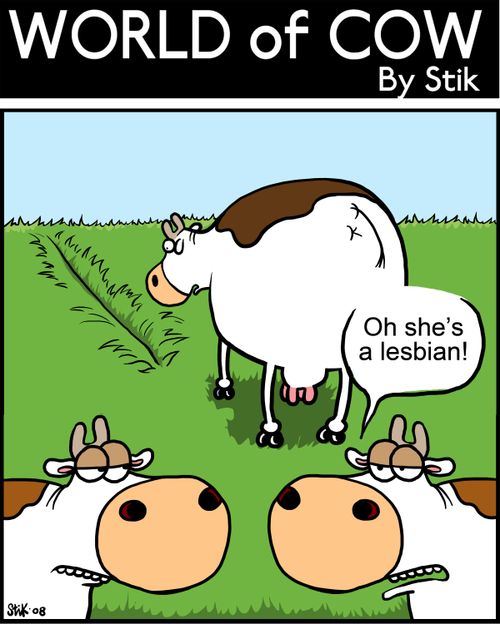 Oh, she's a lesbian!