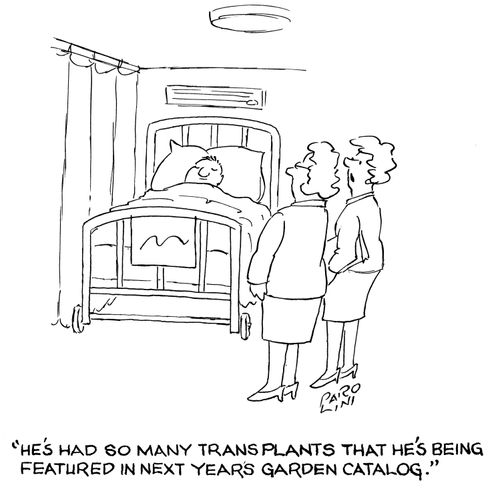 'He's had so many transplants that he's geing featured in next years garden catalog.'