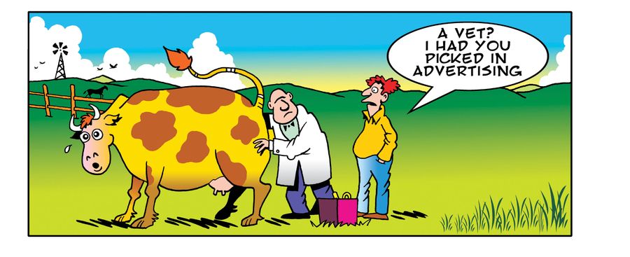 Bull!