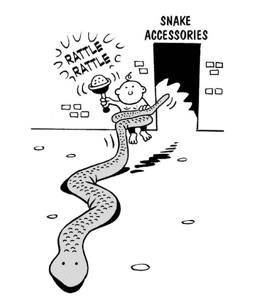 Snake accessories.