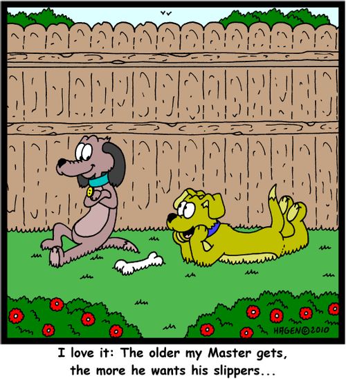 'I love it: The older my Master gets, the more he wants his slippers...'