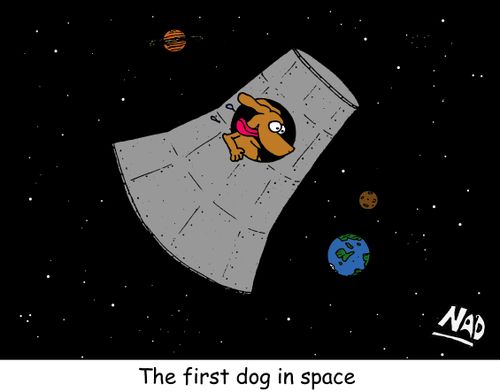 The first dog in space - with his head hanging out the window