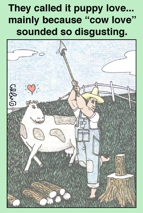 They called it puppy love... mainly because 'cow love' sounded so disgusting.