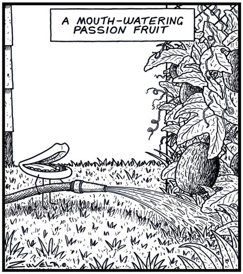 A mouth-watering Passion fruit