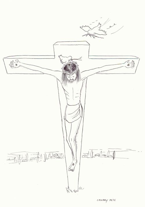 birds of peacenesting on Jesus' head