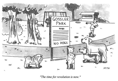 The time for revolution is now.