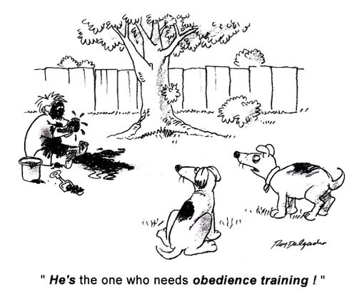'He's the one who needs obedience training!'