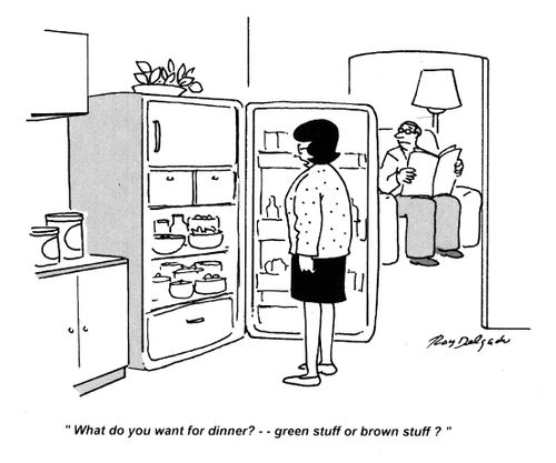 'What do you want for dinner? -- green stuff or brown stuff?'