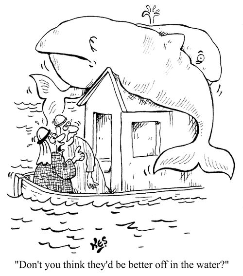 'Don't you think they'd be better off in the water?'