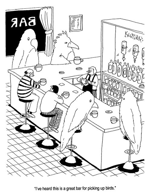 "I've heard this is a great bar for picking up birds."