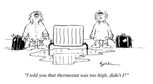 "I told you that thermostat was too high, didn't I?"
