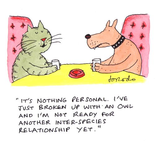 'It's nothing personal.  I've just broken up with an owl and i'm not ready for another inter-species relationship yet.'