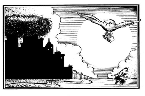 Building a nest in a city