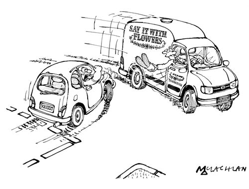 'Say it with flowers' van driver sticks a cactus up to an aggressive driver.