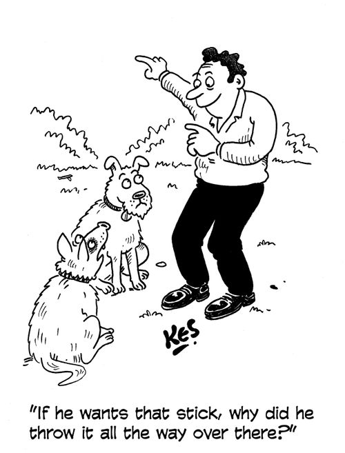 "If he wants that stick, why did he throw it all the way over there?"