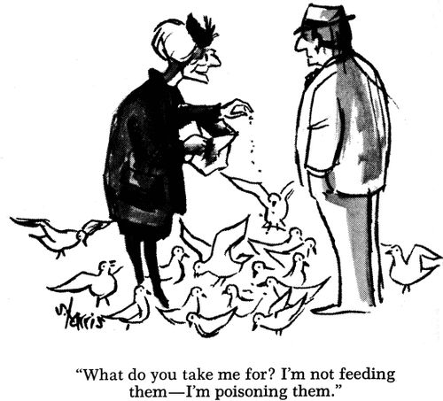 What do you take me for? I'm not feeding them - I'm poisoning them.