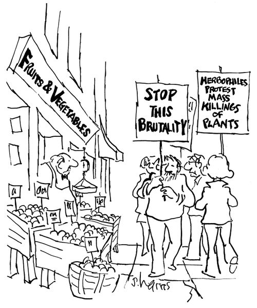 Fruit and Vegetables - protestors signs read 'Stop this brutality' and 'Herbophiles protest mass killings of plants'.