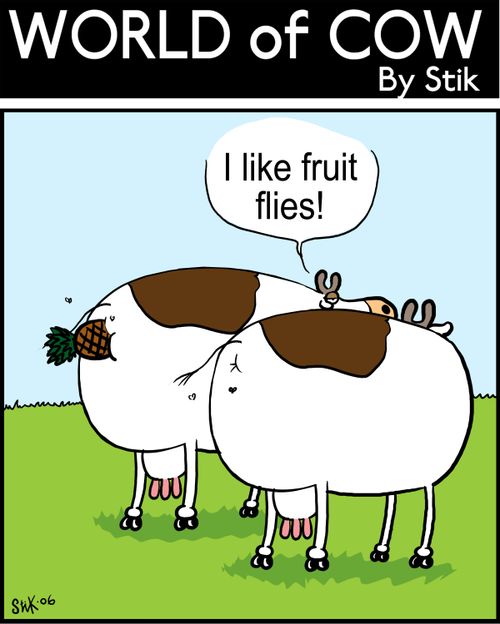 "I like friut flies!"