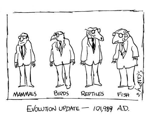 Evolution Update.