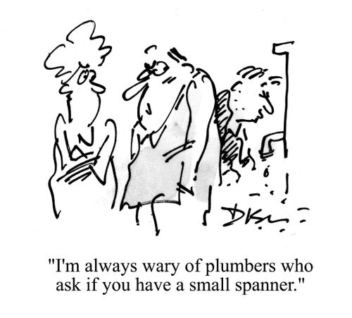 'I'm always wary of plumbers who ask if you have a small spanner.'