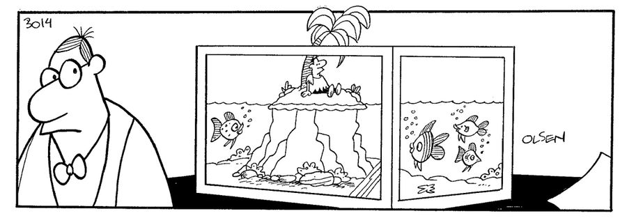 Fish tank island.