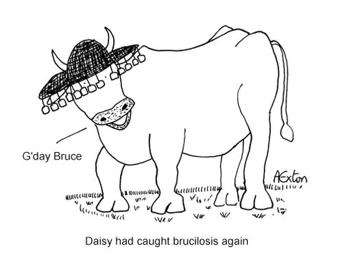 Daisy had caught brucilosis again.