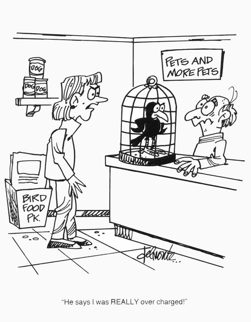 'He says I was REALLY over charged!'