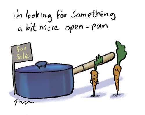 "I'm looking for something a little more open pan."