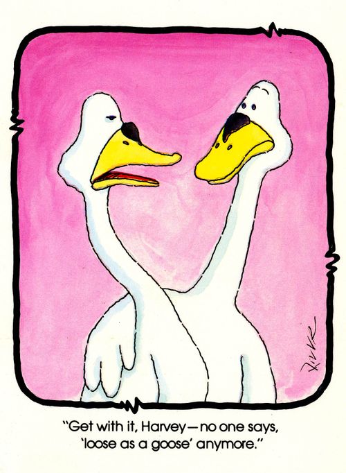 'Get with it Harvey, no one says, 'loose as a goose' anymore.'