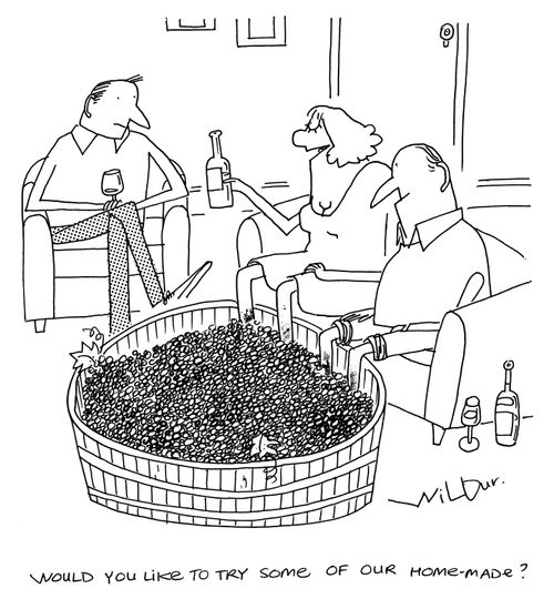 'Would you like to try some of our home-made?'