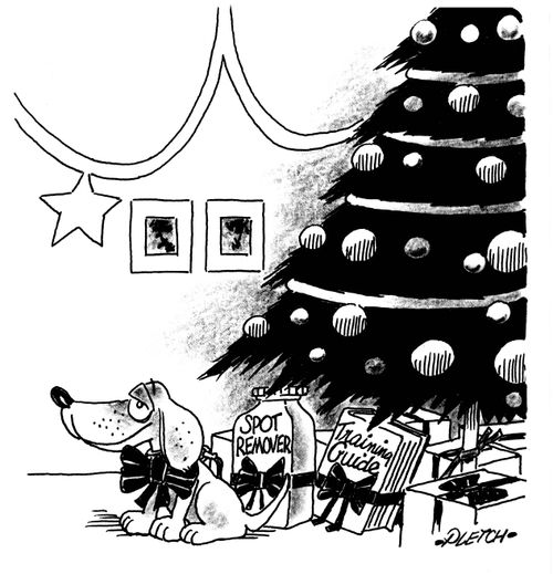 Dog Presents.