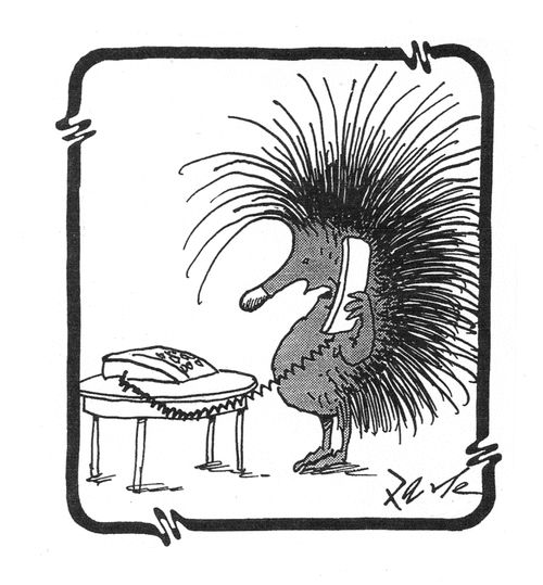 Hedgehog talking on the telephone.