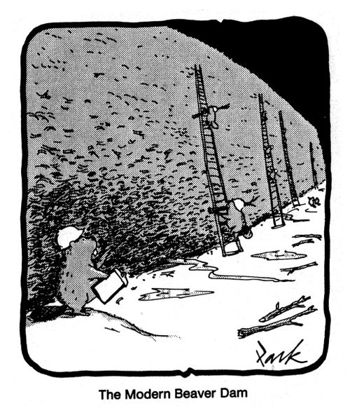 The Modern Beaver Dam.