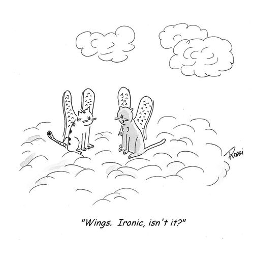 'Wings. Ironic, isn't it?'