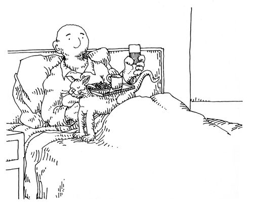 101 uses of a dead cat: breakfast in bed table.