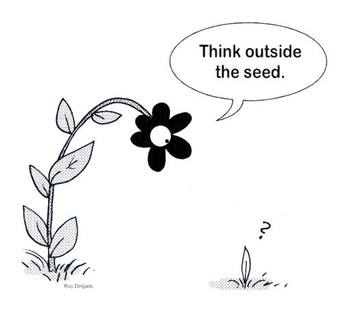 'Think outside the seed.'