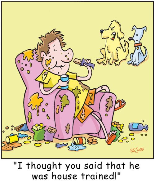 'I thought you said he was housetrained!'