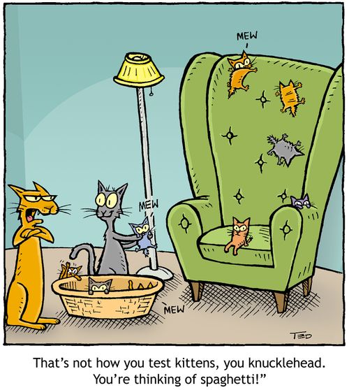 'That's not how you test kittens. You're thinking of spaghetti!'