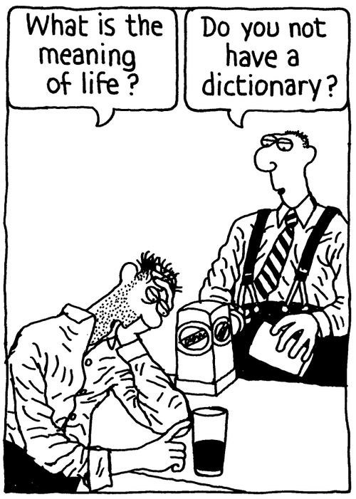'Do you not have a dictionary?'