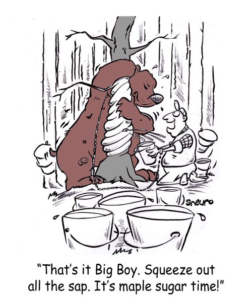 'That's it Big Boy. Squeeze out all the sap. It's maple sugar time!'