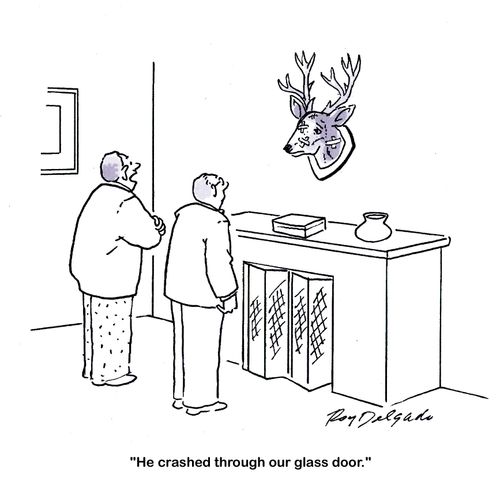 'He crashed through our glass door.'