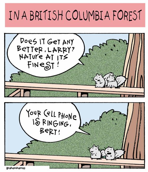 "Your cell phone is ringing, Bert!"
